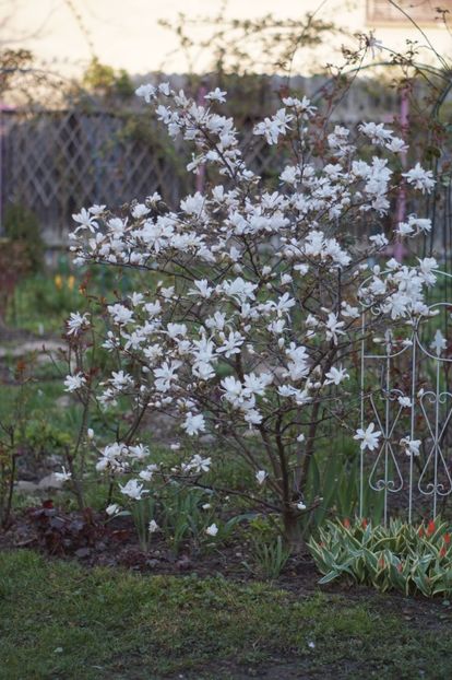  - APRILIE 2019- APRILIE 2020