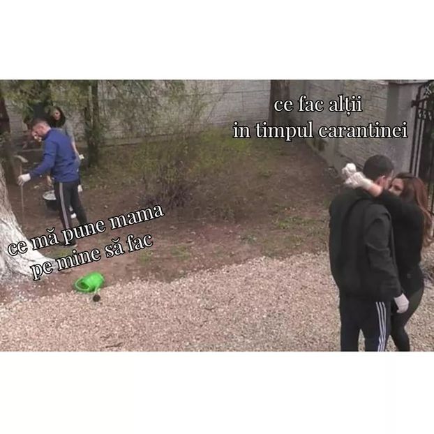  - x Mireasa - Antena1 -memes