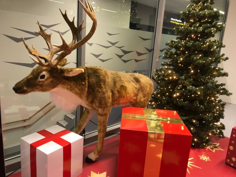 423F2C51-C67A-49AF-B24A-A8BE88192BCF - Aurora Boreala Norvegia -2019