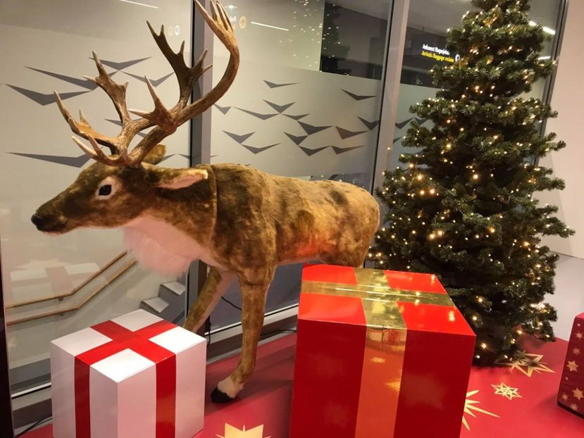 44FFD90D-759B-42BD-AB55-BBE8A167143F - Aurora Boreala Norvegia -2019