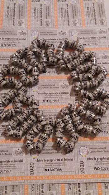 FCI 2020 - Por inele