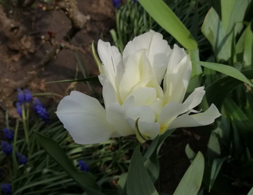  - 2020 Ian feb martie aprilie