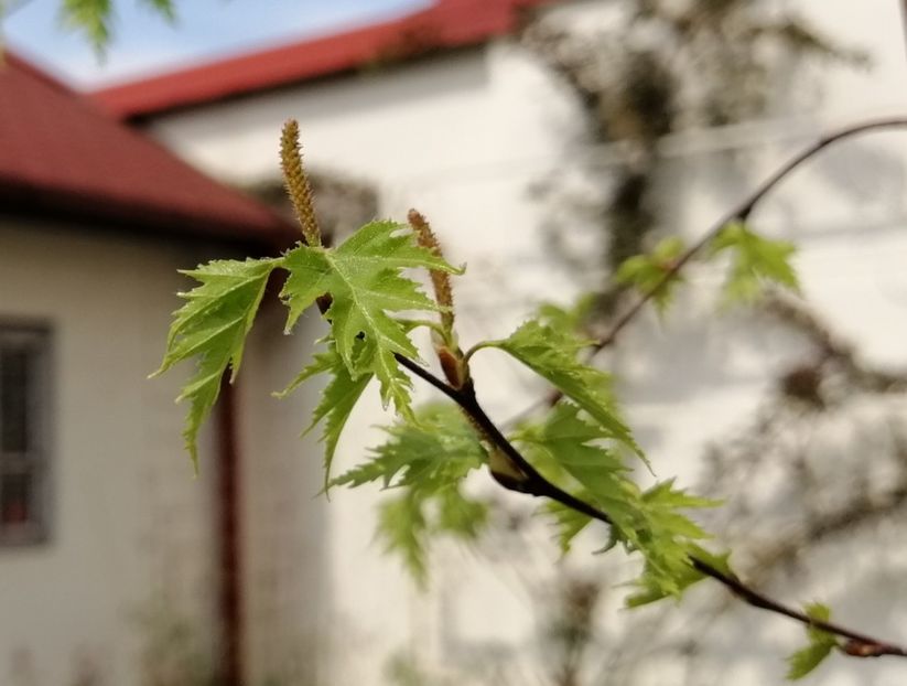  - 2020 Ian feb martie aprilie