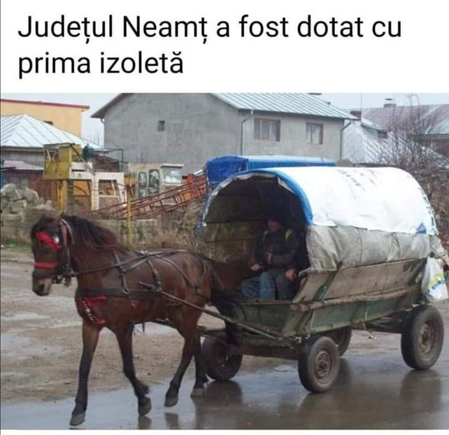 113281477_URFGAQD - Bancuri cu Moldoveni