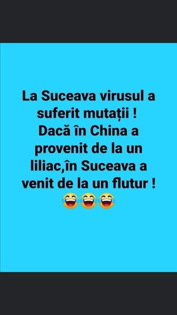 92339017_1439513616210465_3652436069644763136_o - Bancuri cu Moldoveni