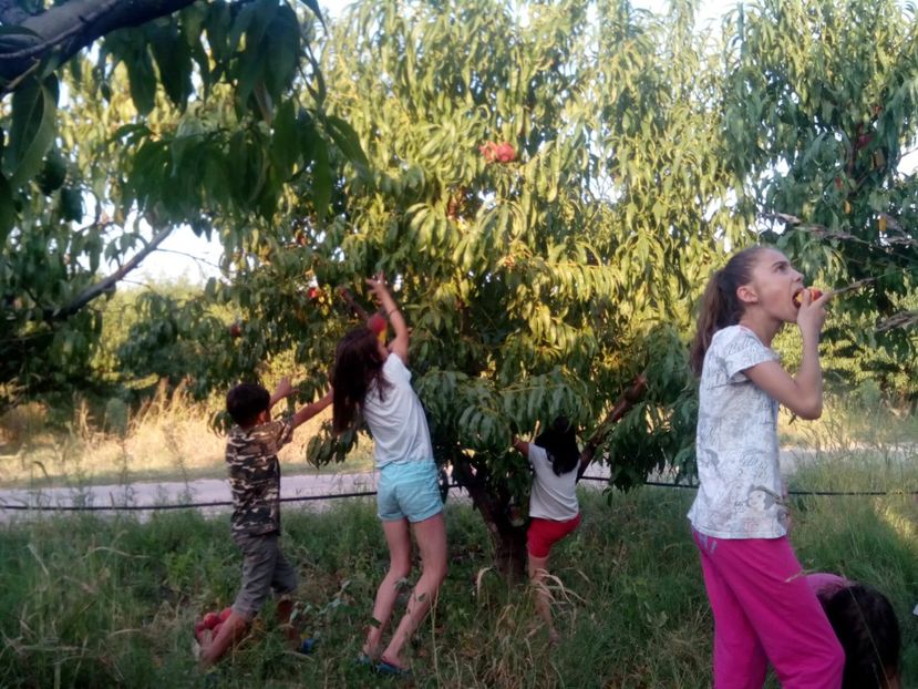  - Fundație