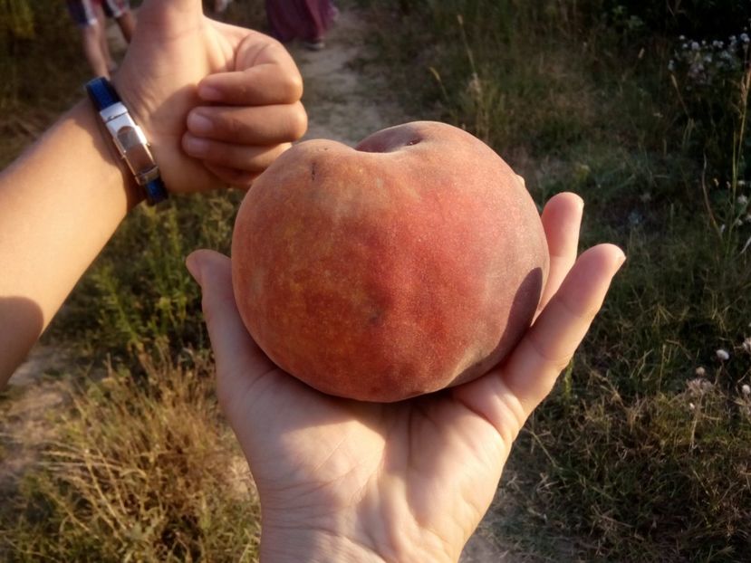  - Fundație