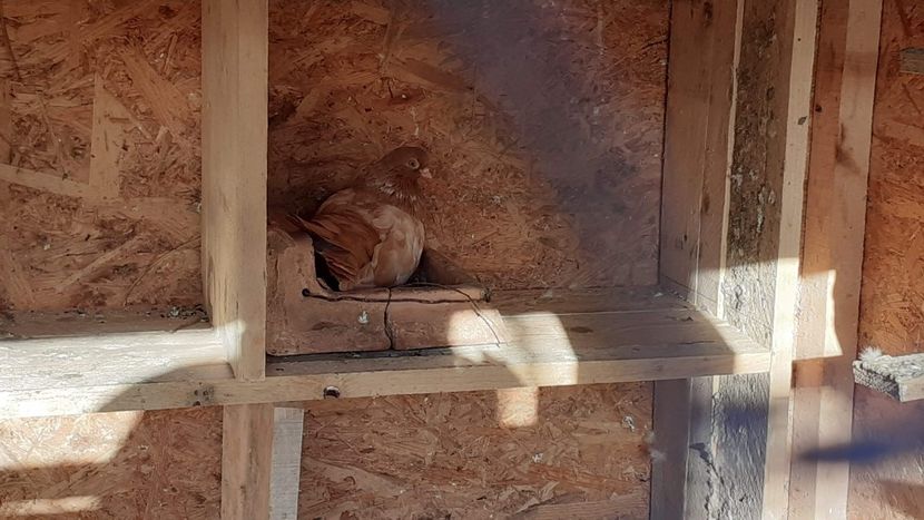 received_648516909262453 - Contact