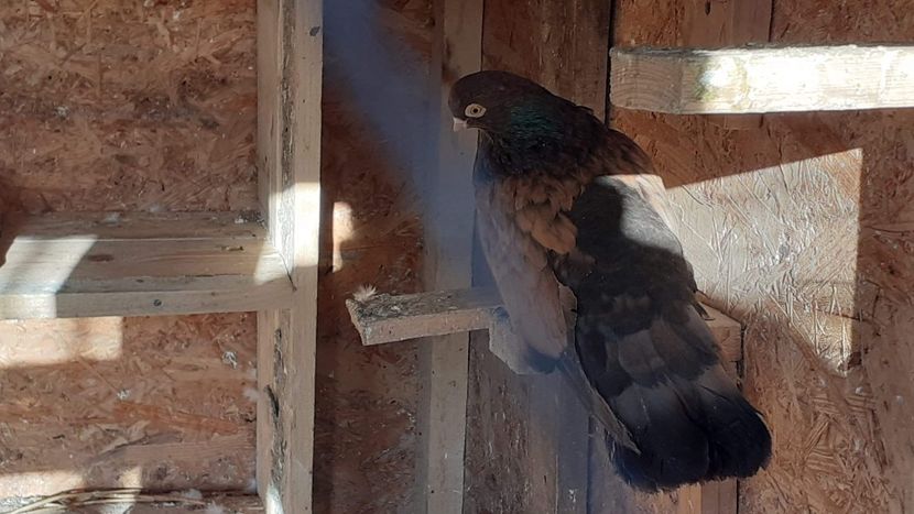 received_1455198341320683 - Contact