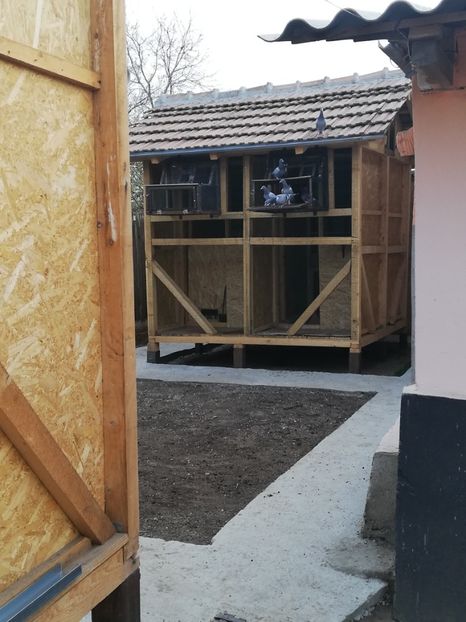  - 2020-Pui Seria întâi