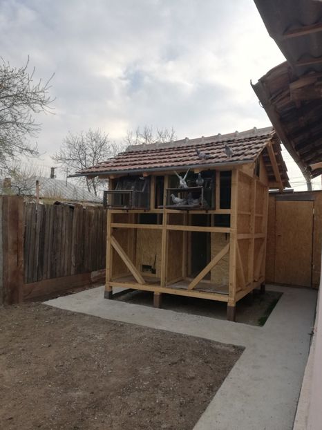  - 2020-Pui Seria întâi