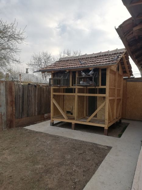  - 2020-Pui Seria întâi