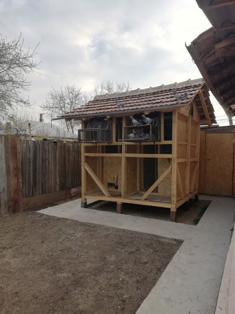  - 2020-Pui Seria întâi