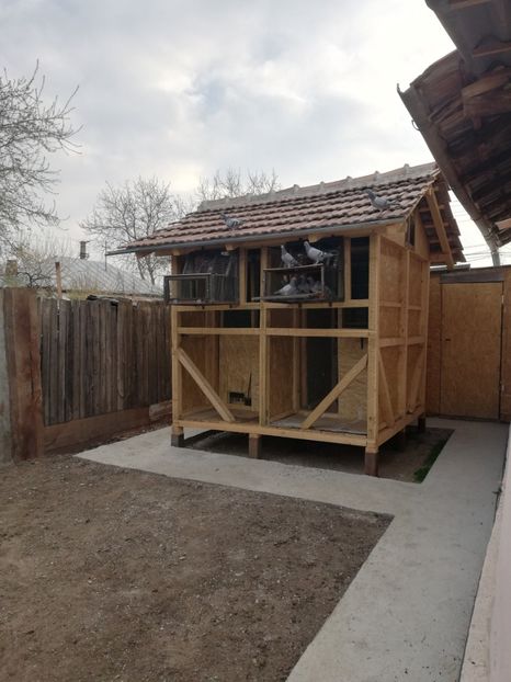  - 2020-Pui Seria întâi