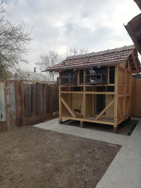  - 2020-Pui Seria întâi