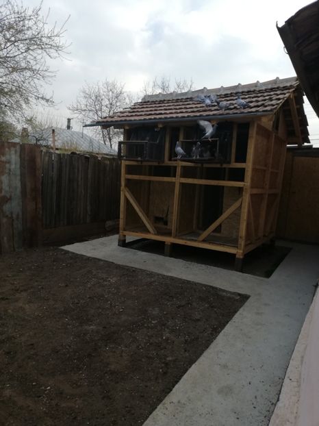  - 2020-Pui Seria întâi