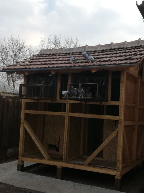  - 2020-Pui Seria întâi