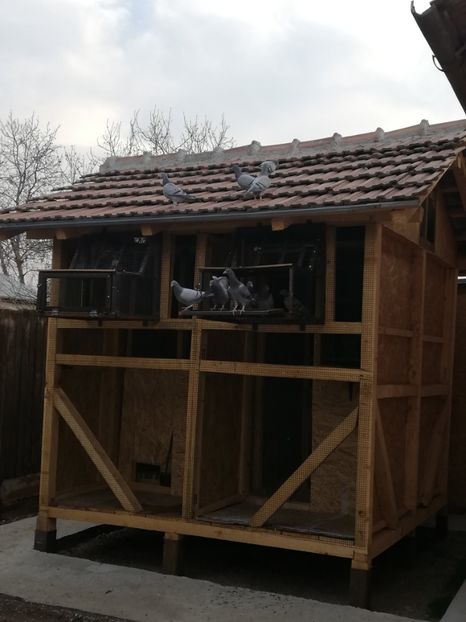  - 2020-Pui Seria întâi