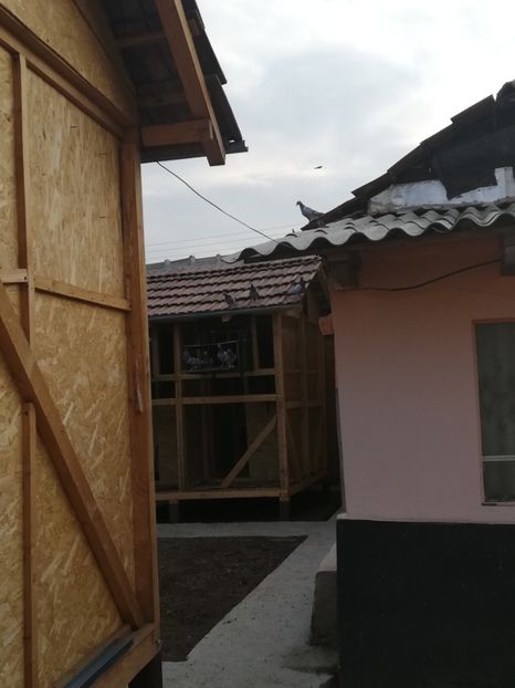  - 2020-Pui Seria întâi