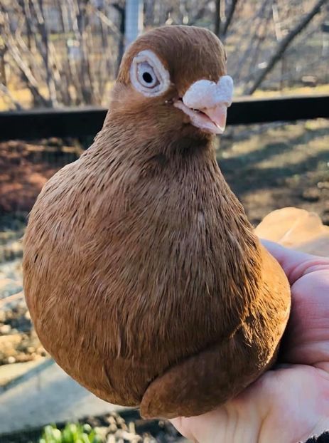 9CA3117A-F816-41CC-AE80-84BE152D87B4 - Poze noi