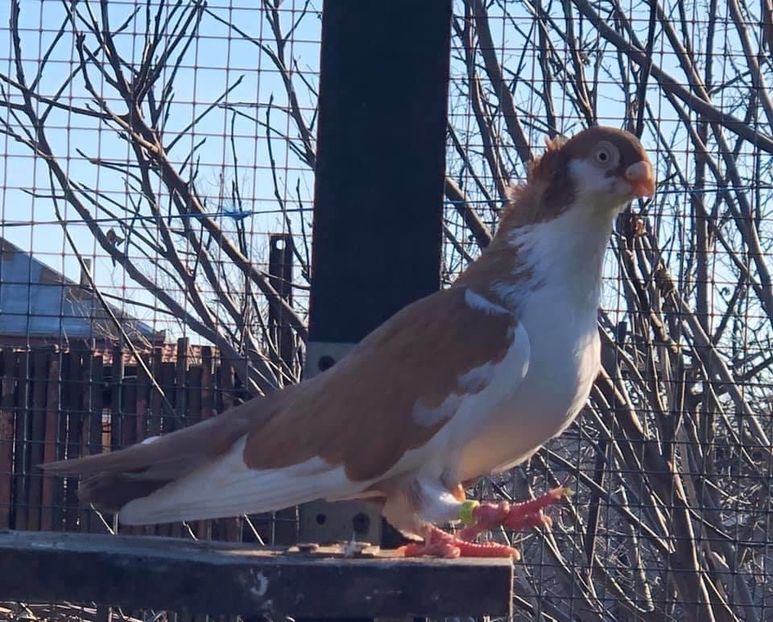 08B61F25-DDB8-4265-9424-5E8BC9139909 - Poze noi