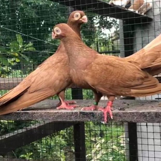 407C90F3-BD11-42A8-84AE-85583392E33F - Poze noi