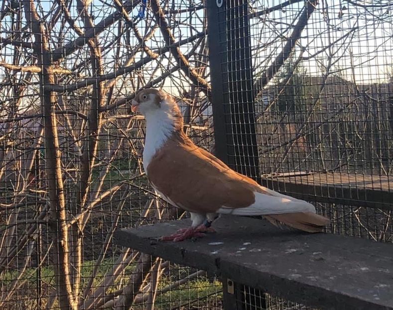 9B0D6E82-FB21-4899-91CE-F9274DD18C10 - Poze noi