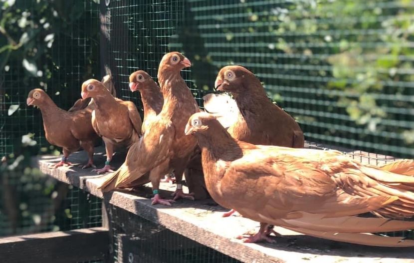 4DC25FE7-6151-4729-A961-CE18C685705E - Poze noi