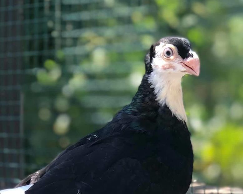 5F918AF9-1E54-4ADD-98A5-65B210CBBDD1 - Poze noi