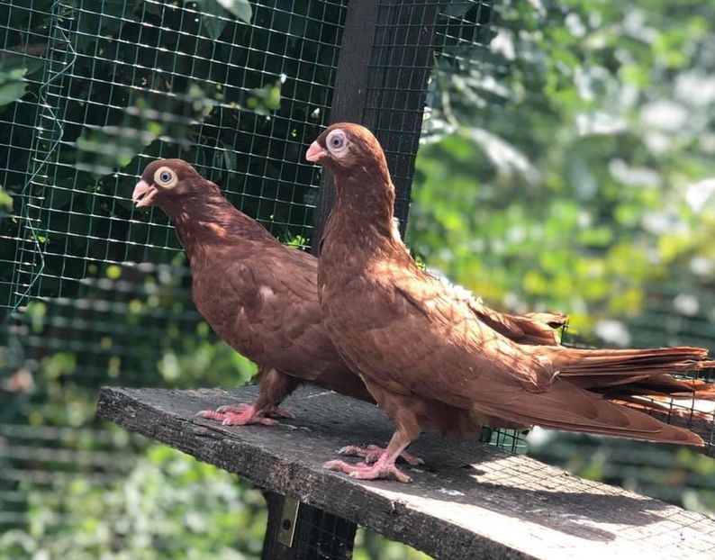 5AD4A957-EA29-40D8-A598-CBB7E7E5D054 - Poze noi