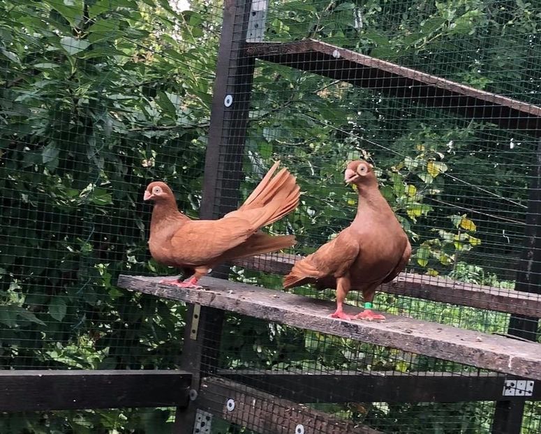 04A29F46-C6F4-4892-AE44-CA806C783565 - Poze noi