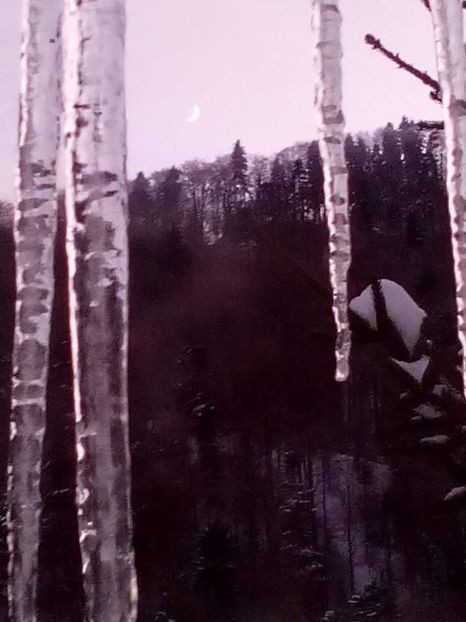 received_616831925792979 - 2019 Azuga Crăciun și revelion