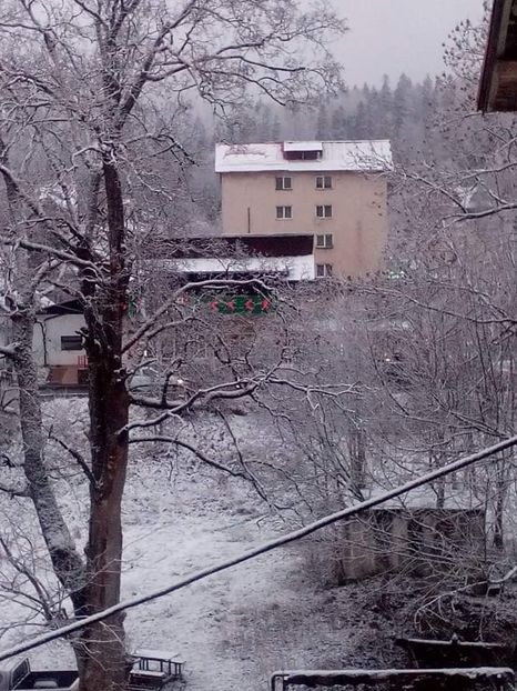 received_918087531919113 - 2019 Azuga Crăciun și revelion