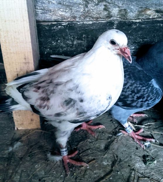 20200324_090704~2 - 2020