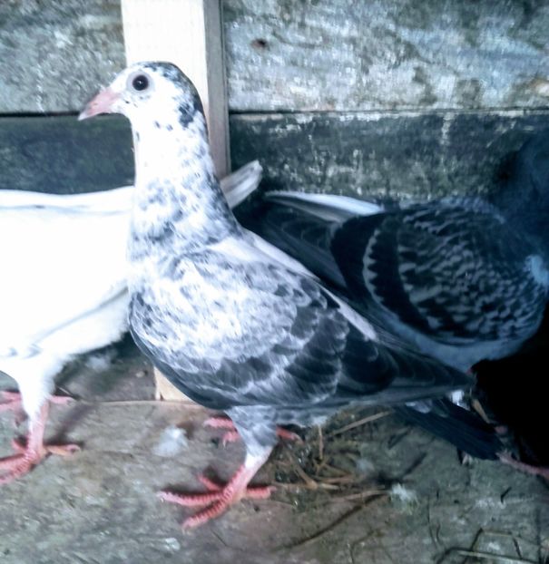 20200324_090639~2 - 2020