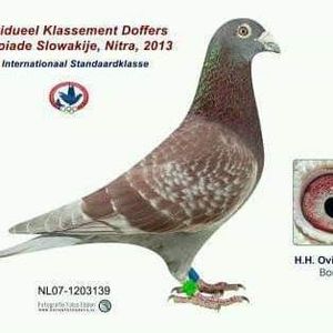  - NU AMI APARTIN 2020