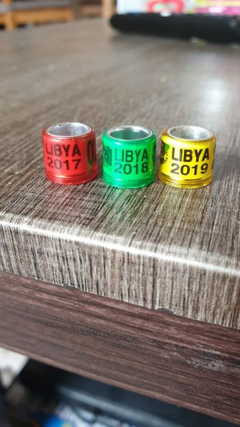 Libya - Africa si Asia