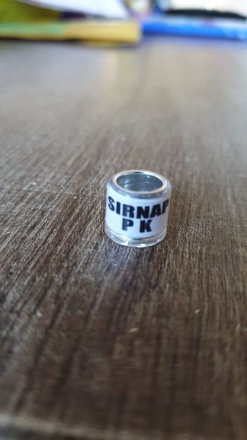 Pakistan - Africa si Asia