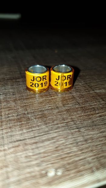 Jordan - Africa si Asia