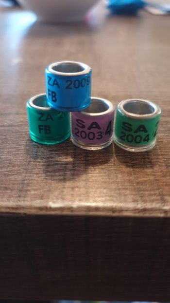 Africa de sud - Africa si Asia