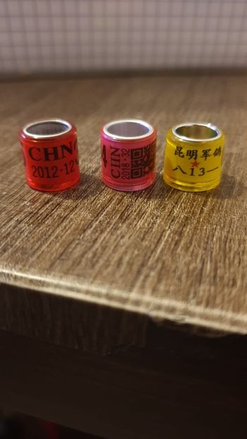 China - Africa si Asia