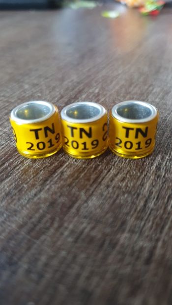 Tunisia - Africa si Asia