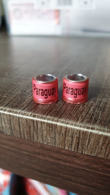 Paraguay - America de sud