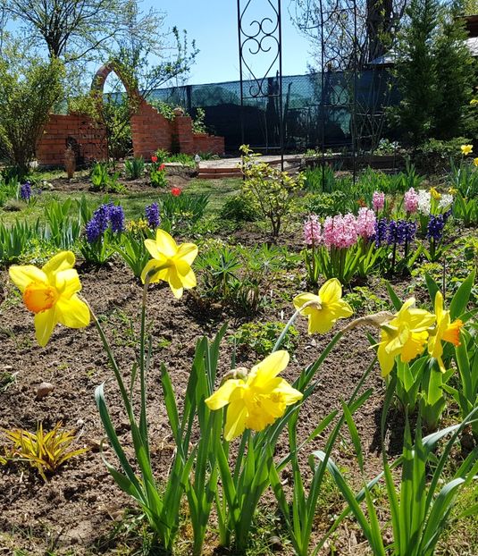  - 2020 Mart-Apr_Idilic garden