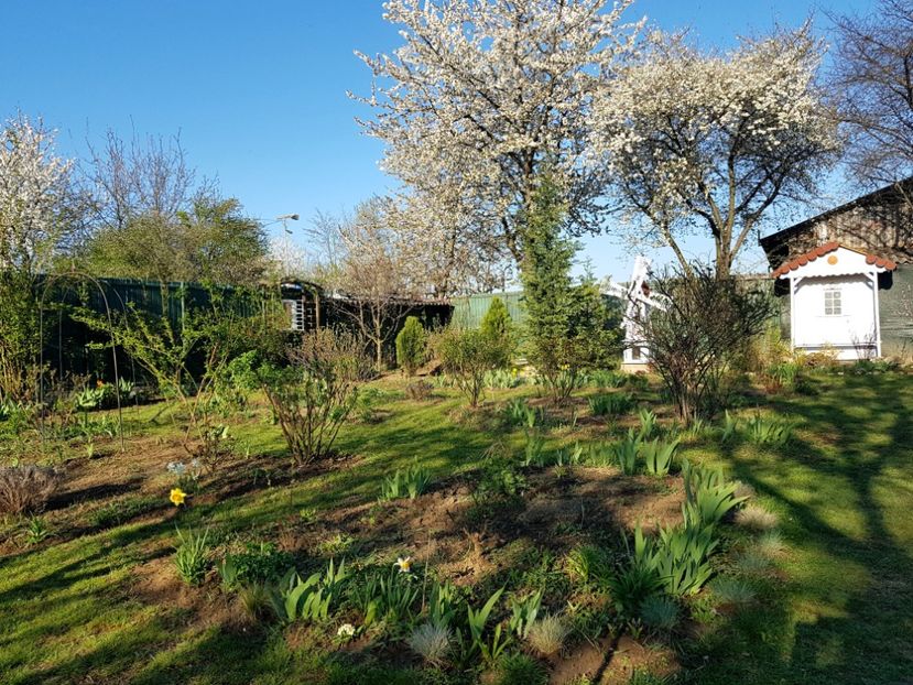  - 2020 Mart-Apr_Idilic garden