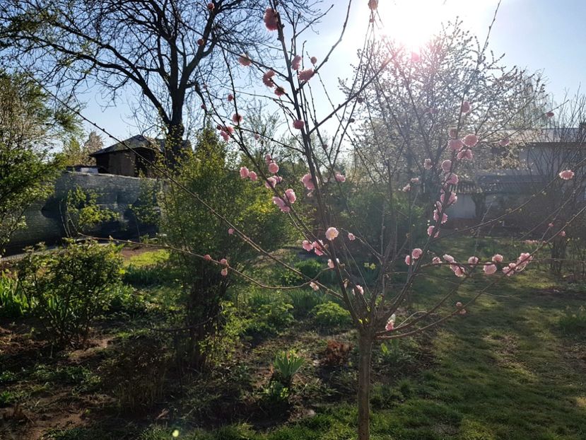  - 2020 Mart-Apr_Idilic garden