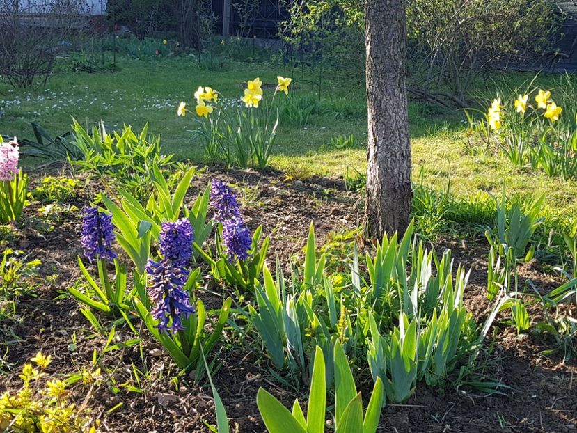  - 2020 Mart-Apr_Idilic garden