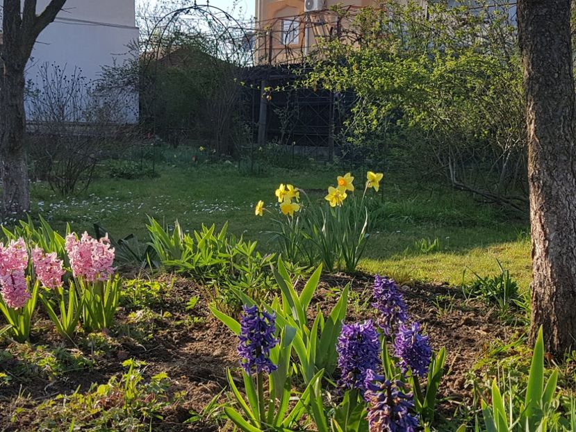  - 2020 Mart-Apr_Idilic garden