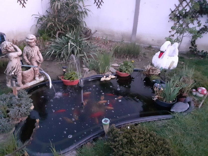  - Iazul din gradina