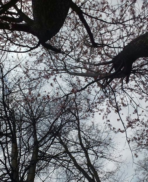 2020 - - O - Fotografii x